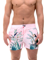 DAINTREE PINK (RSB329) Franks