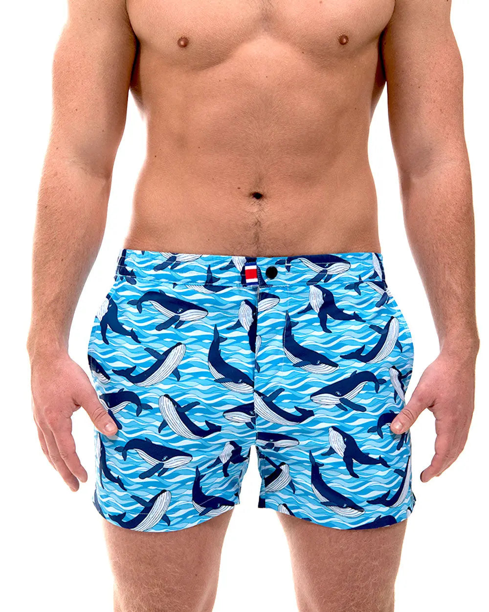 ANTARCTIC (RSB357) Franks