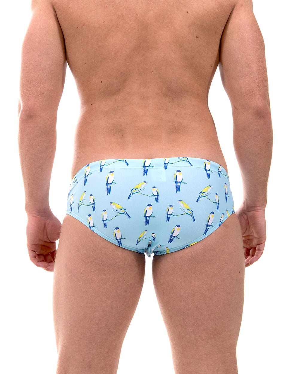 Currumbin Sky (SBB223)