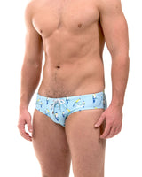 Currumbin Sky (SBB223)