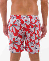 Coolum Fire (SSB274)