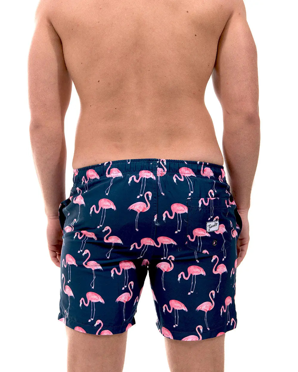 TAMPA MIDNIGHT (SSB334) Franks