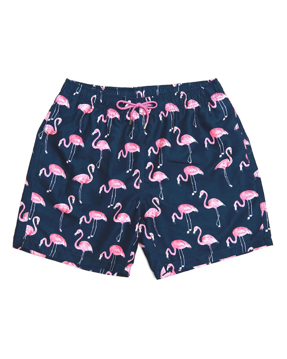 TAMPA MIDNIGHT (SSB334) Franks