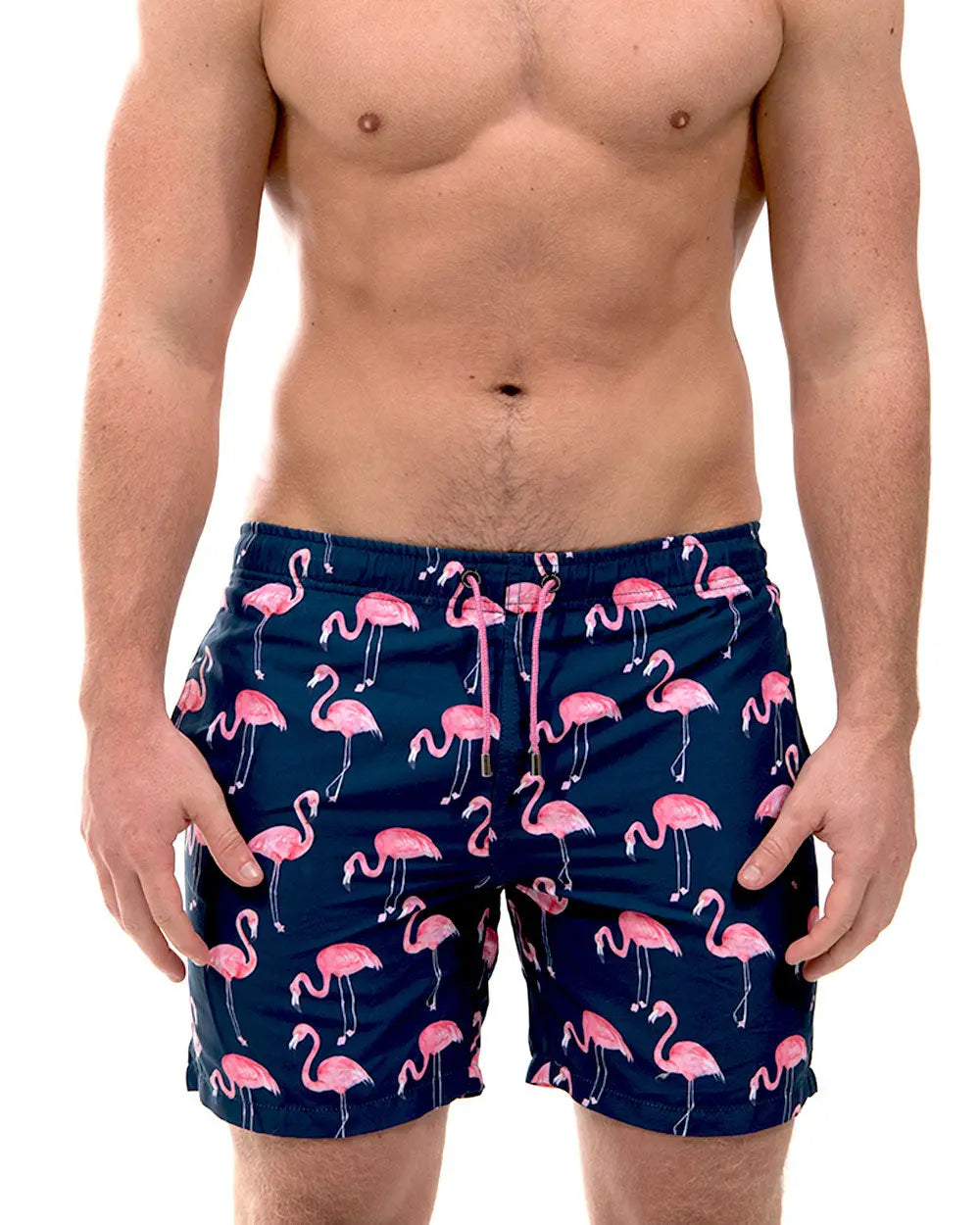 TAMPA MIDNIGHT (SSB334) Franks