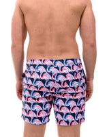 JUPITER MIDNIGHT (SSB338) Franks