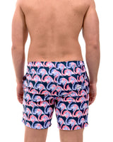 JUPITER MIDNIGHT (SSB338)