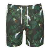 Burliegh Night (SSB170)