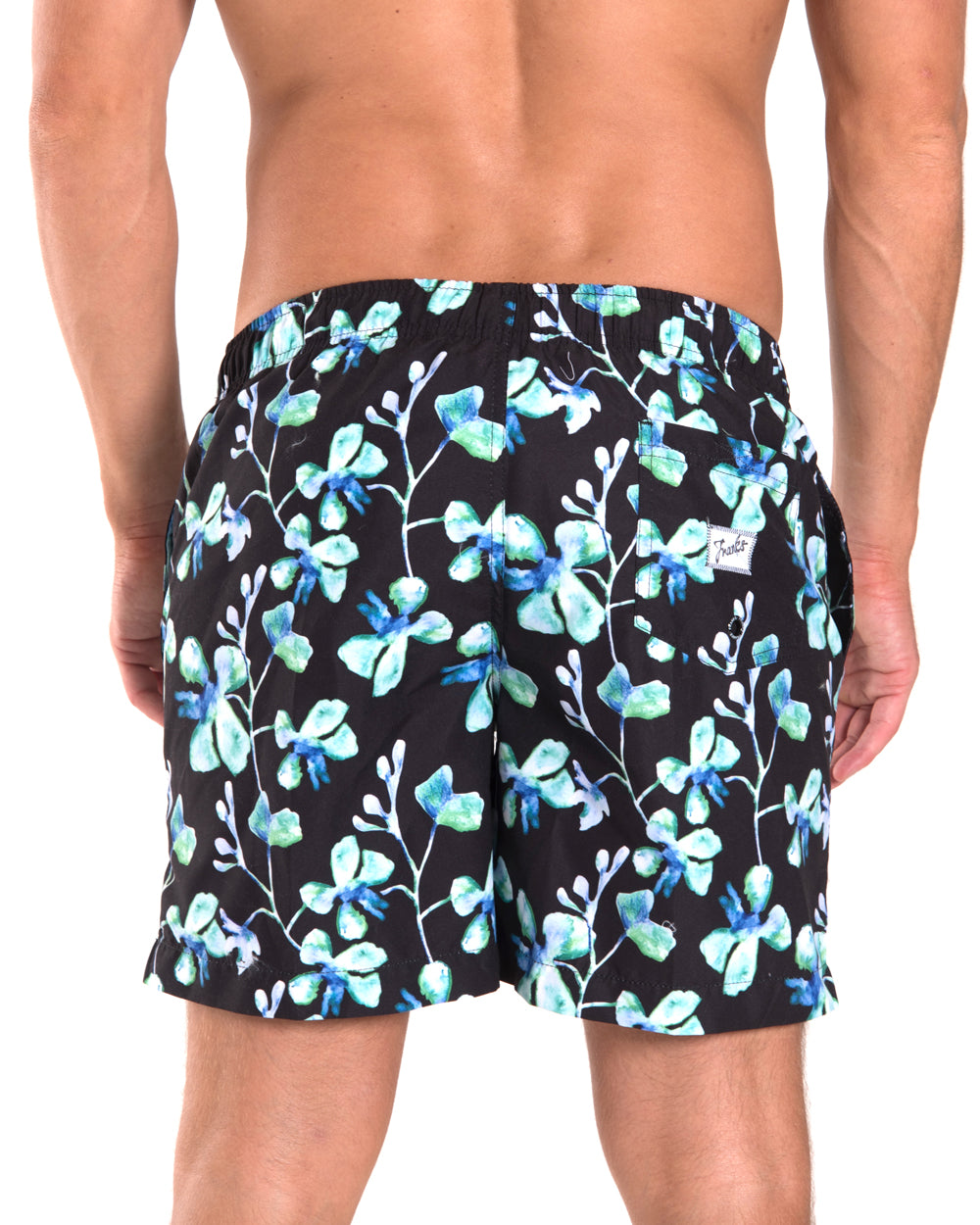 Waterhouse Night (SSB214)