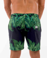 Bronte Forest (SSB268)