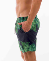 Bronte Forest (SSB268)