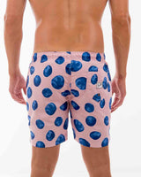 Coollaroy Candy (SSB297)