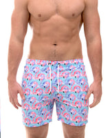 JUPITER SKY (SSB339)